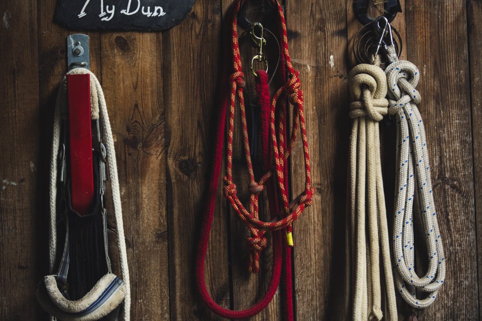 Four Ropes Hanged On Brown Board