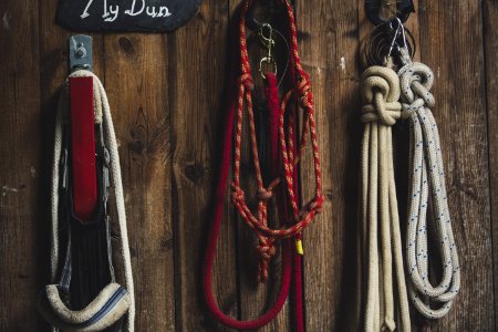 Four Ropes Hanged On Brown Board photo
