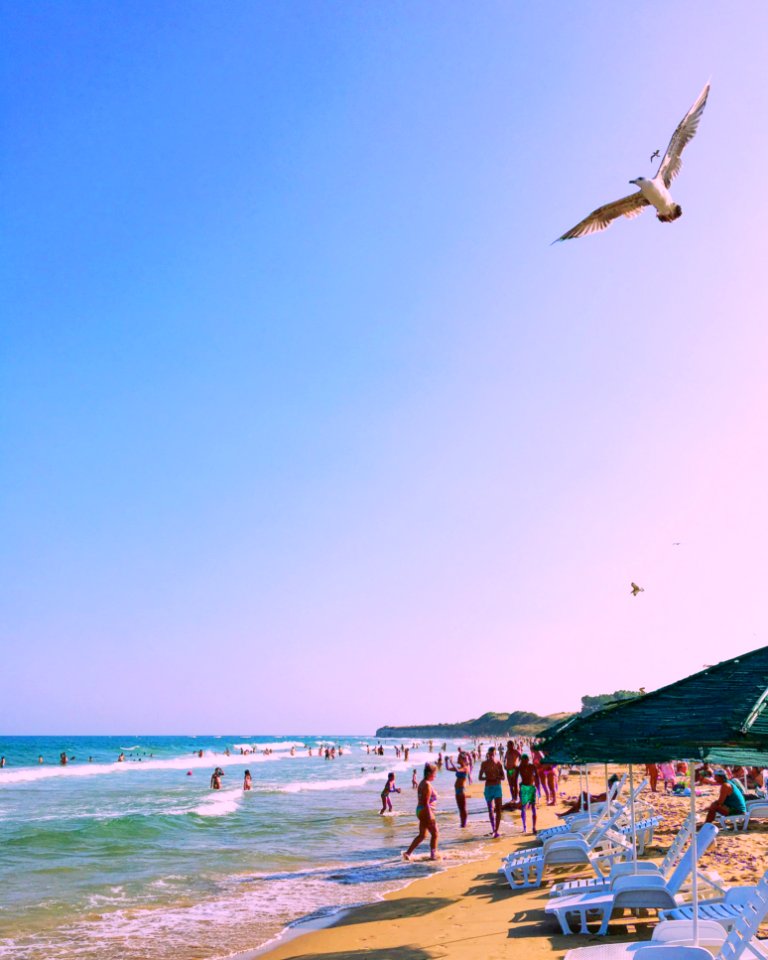 Photo Of People At The Beach