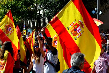 Photo Of People Holding Flags photo