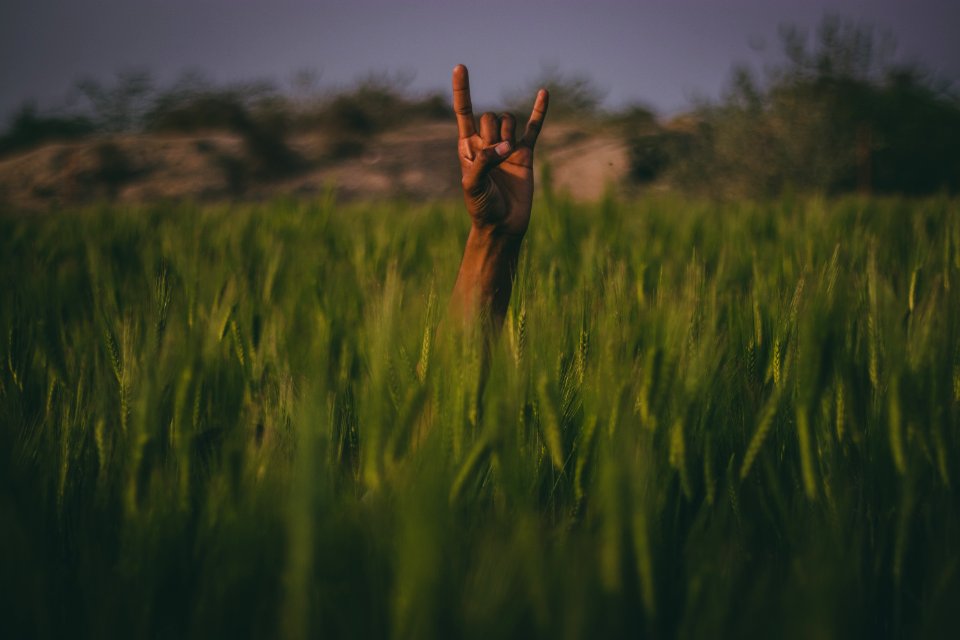 Shallow Focus Photography Of Person Hand