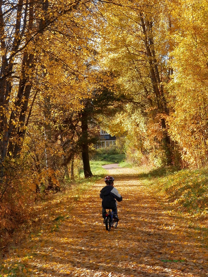 Street autumn cycling