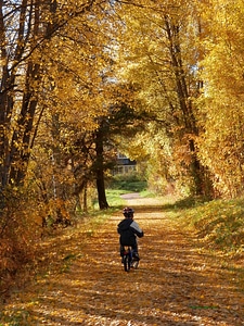 Street autumn cycling