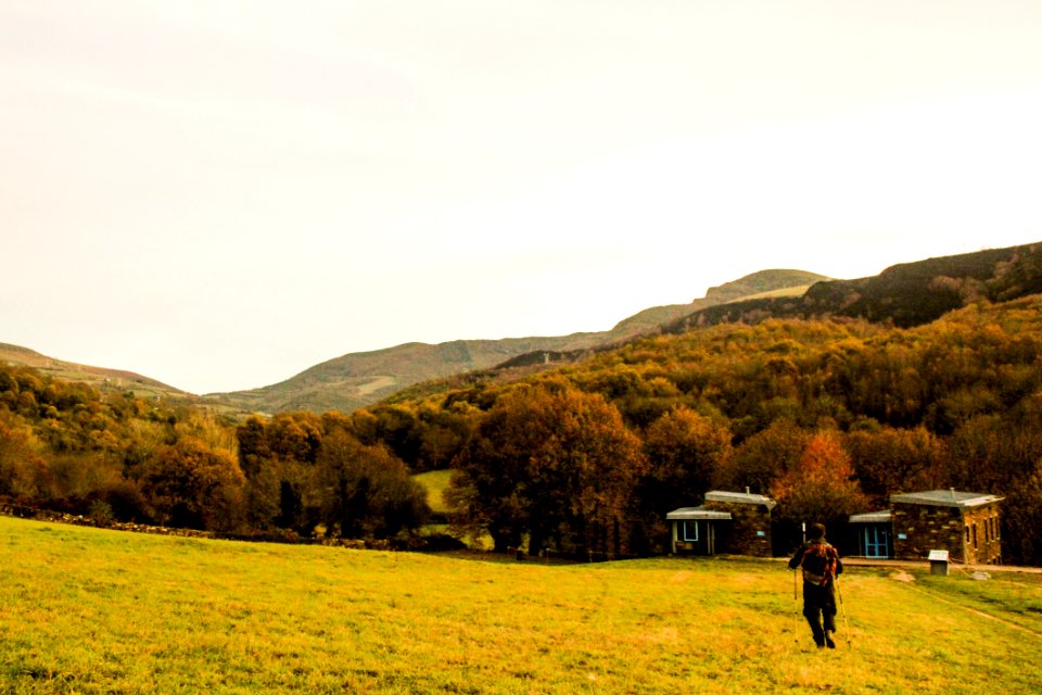 Person Standing At Green Field