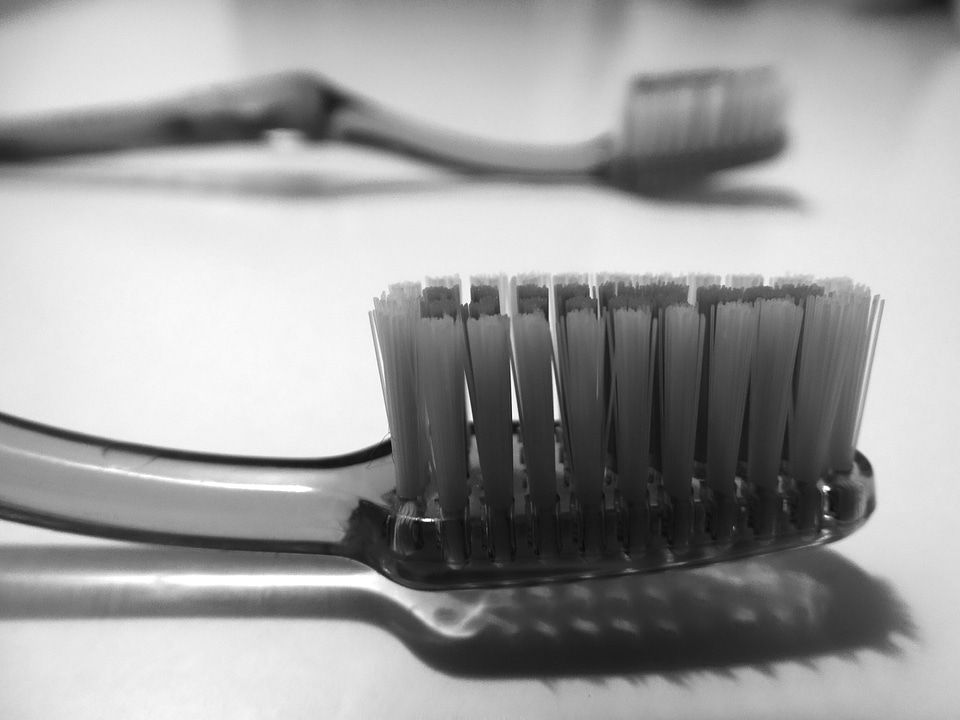 Bristles dental care clean