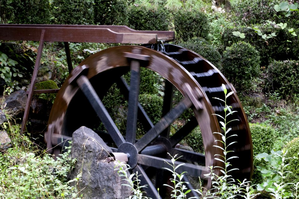 Wheel Automotive Tire Tire Tree