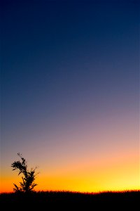 Sky Dawn Afterglow Horizon photo