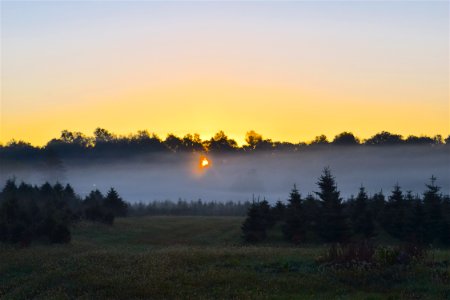 Sky Dawn Sunrise Morning photo