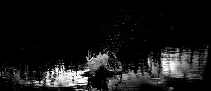 Reflection Water Nature Black