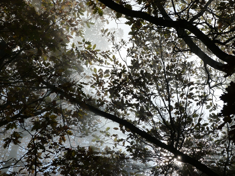 Against the light light and shade atmosphere