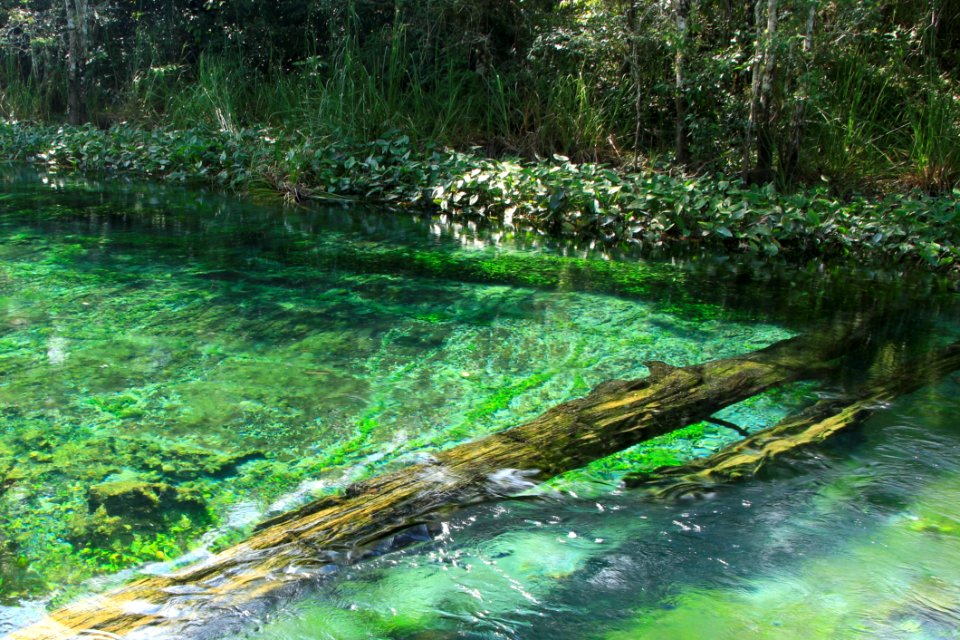 Water Nature Vegetation Nature Reserve