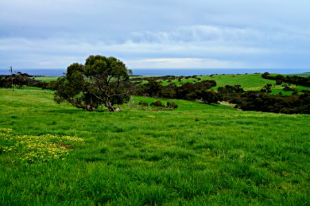 Grassland Vegetation Sky Pasture photo