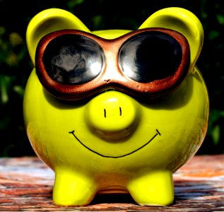 Green Yellow Glasses Snout