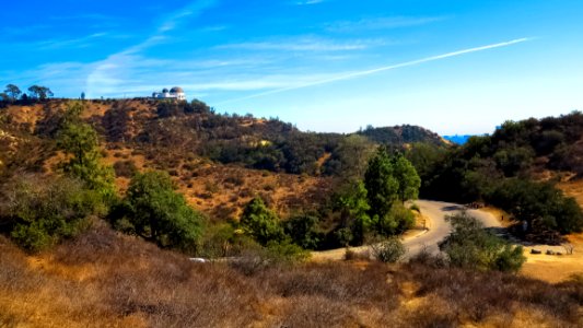 Sky Wilderness Vegetation Ecosystem