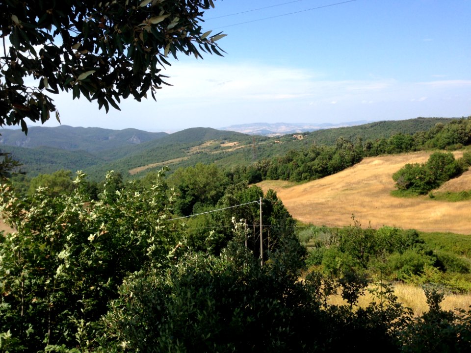 Vegetation Hill Nature Reserve Ecosystem
