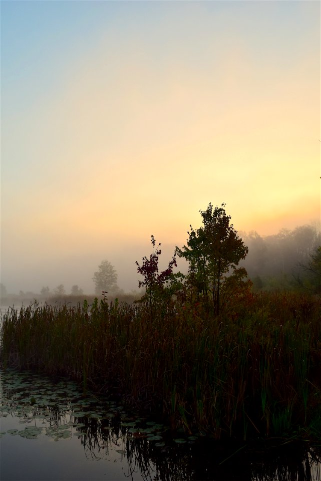 Dawn Sky Morning Sunrise