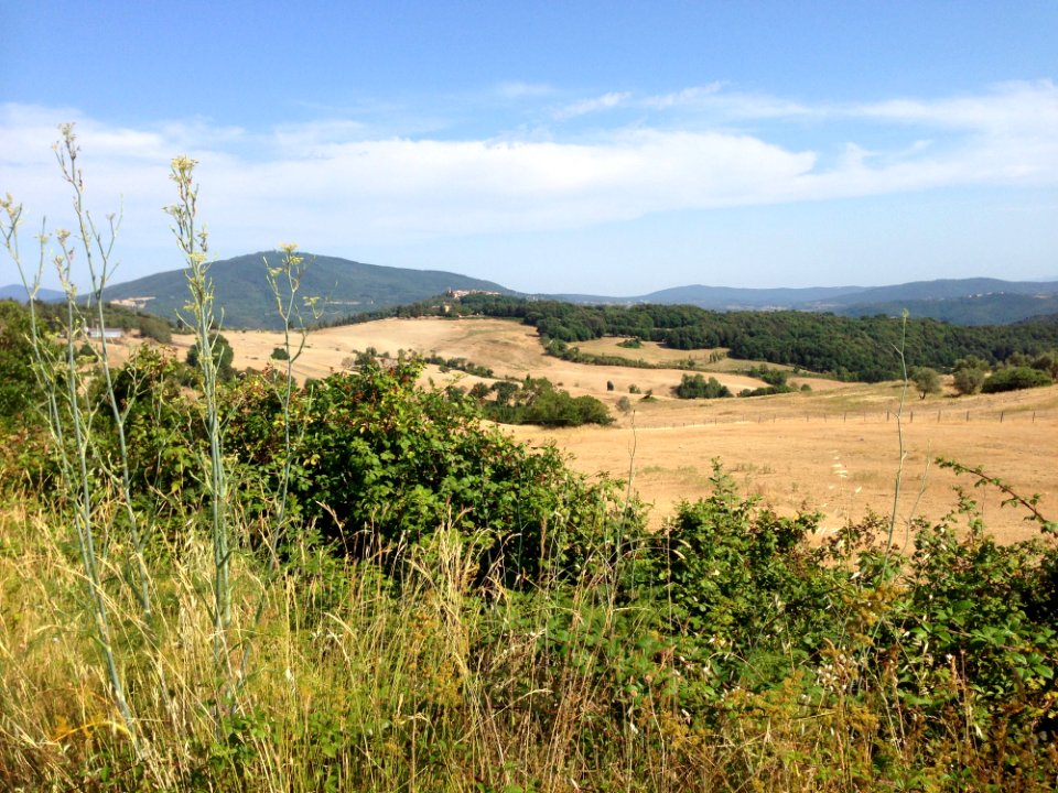 Ecosystem Grassland Vegetation Hill