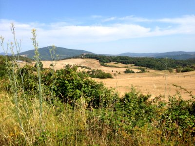 Ecosystem Grassland Vegetation Hill