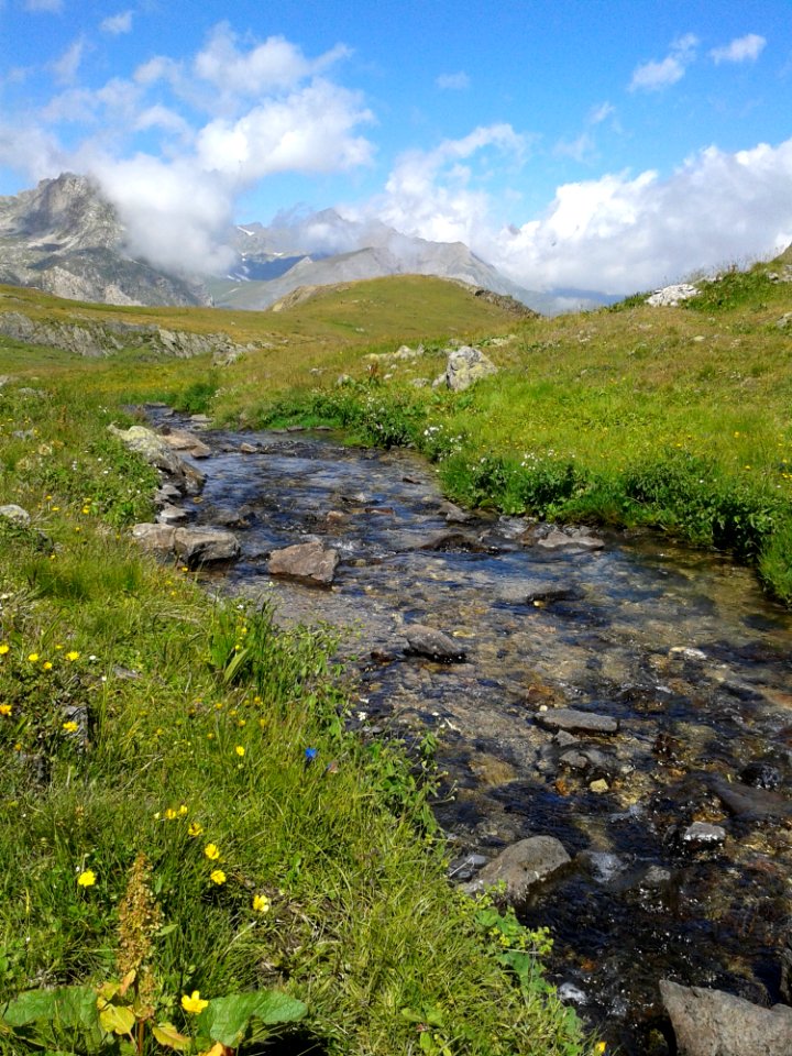 Vegetation Wilderness Nature Reserve Mountain
