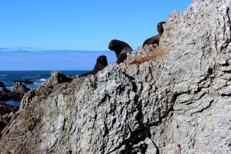 Rock Promontory Coast Cliff