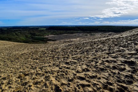 Ecosystem Sky Sand Shrubland photo