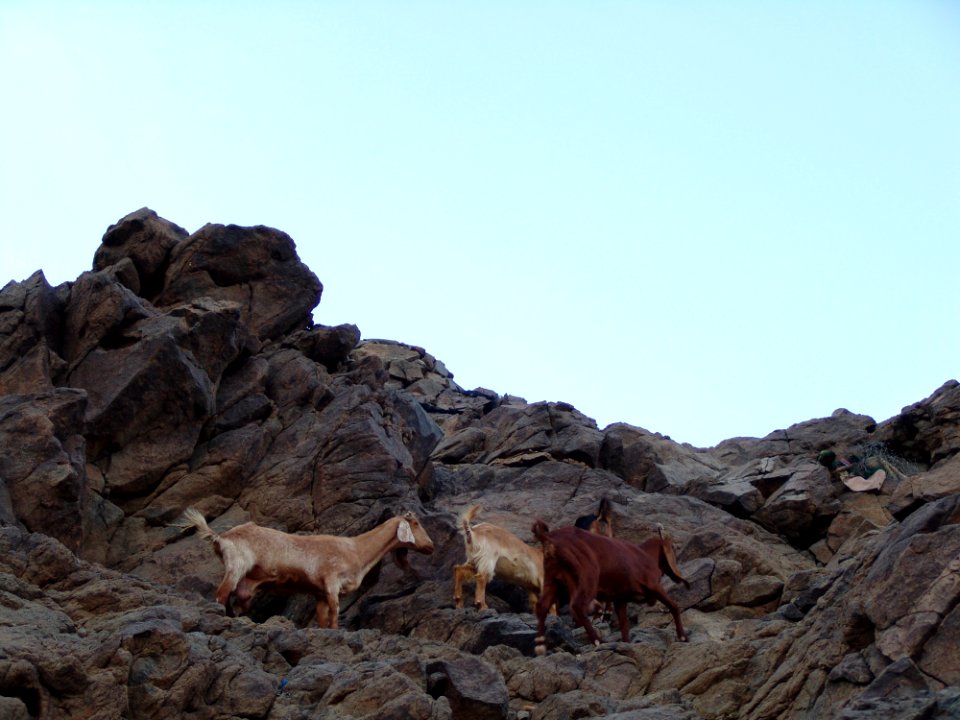 Wilderness Rock Sky Mountain photo