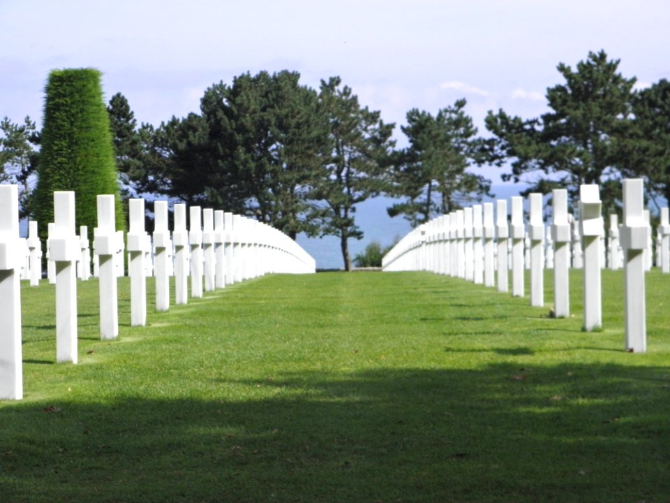 Cemetery Grass Tree Memorial