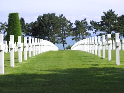 Cemetery Grass Tree Memorial photo