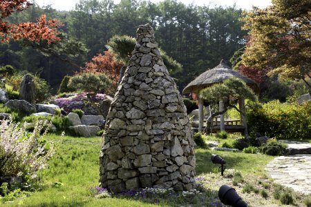 Tree Rock Plant Garden