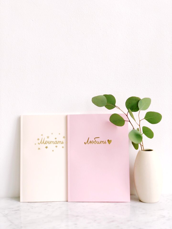 Green Leaf Plant Beside Two Pink And White Notebooks