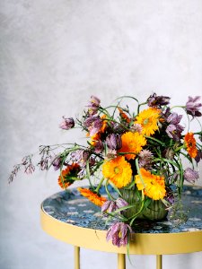 Potted Yellow And Purple Cluster Flowers photo
