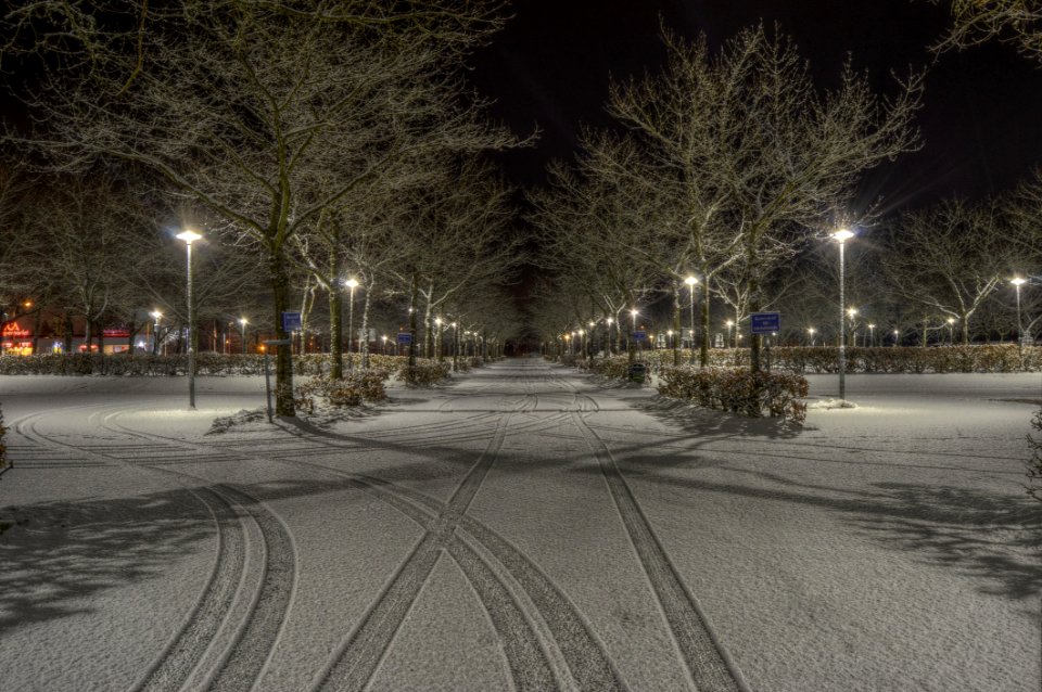 Cleared Road Near Trees And Light Post During Nighttime