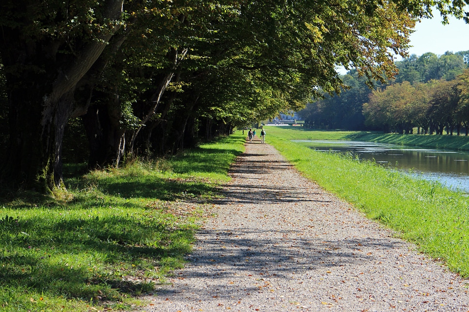Forest path away avenue