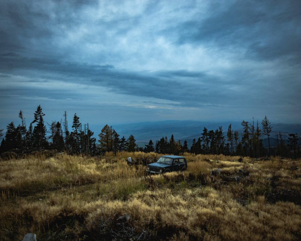 Black Jeep Wrangler Surrounded By Bush