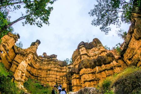 Low Angle View Of Brown Ruins Near Green Leaf Trees photo