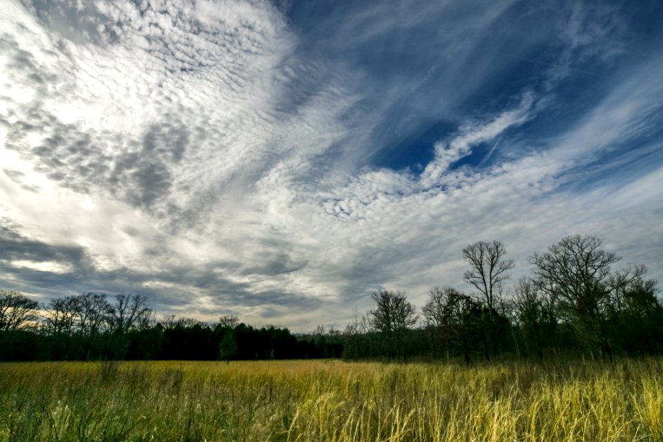 Green Grass Under Blue And White Sky At Daytime photo