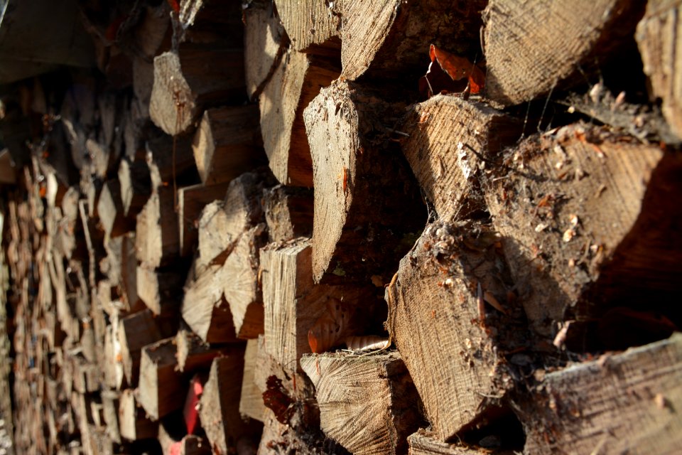 Wood