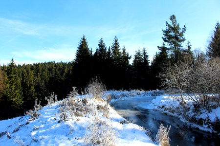 Winter Snow Wilderness Tree photo