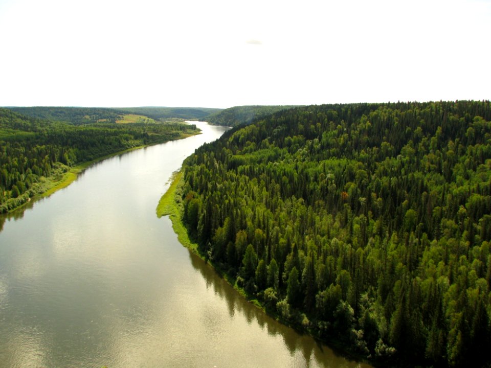 Ecosystem Nature Reserve Water Resources Vegetation