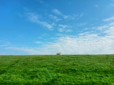 Grassland Sky Ecosystem Prairie photo