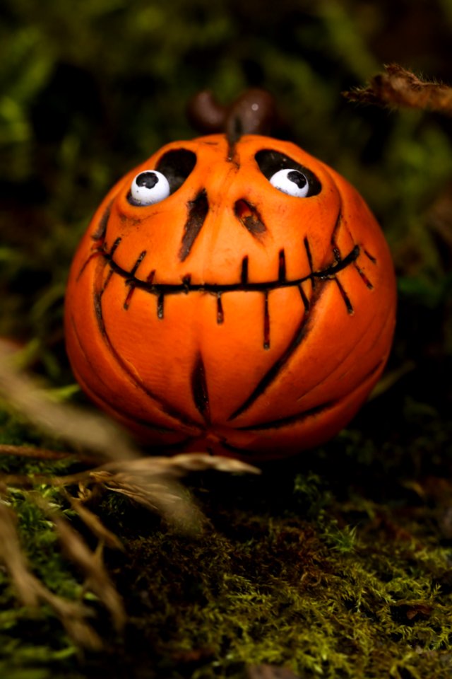 Pumpkin Cucurbita Calabaza Carving