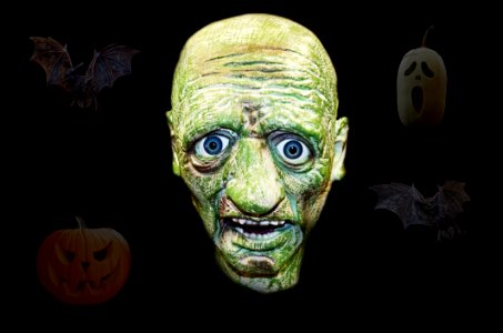 Face Head Organism Skull