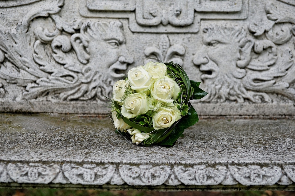 White fulfillment perfect congratulations