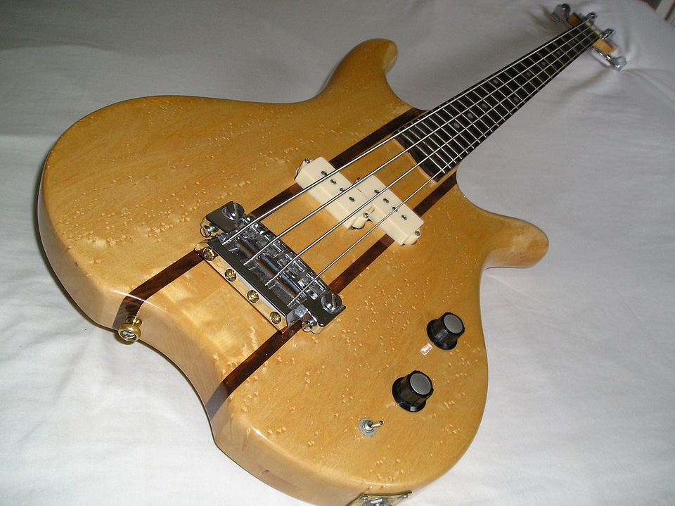 Music musical instrument