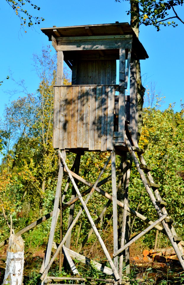 Tree Stand Tree Outdoor Structure Outhouse
