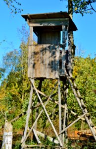 Tree Stand Tree Outdoor Structure Outhouse