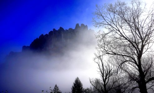 Sky Tree Atmosphere Fog photo
