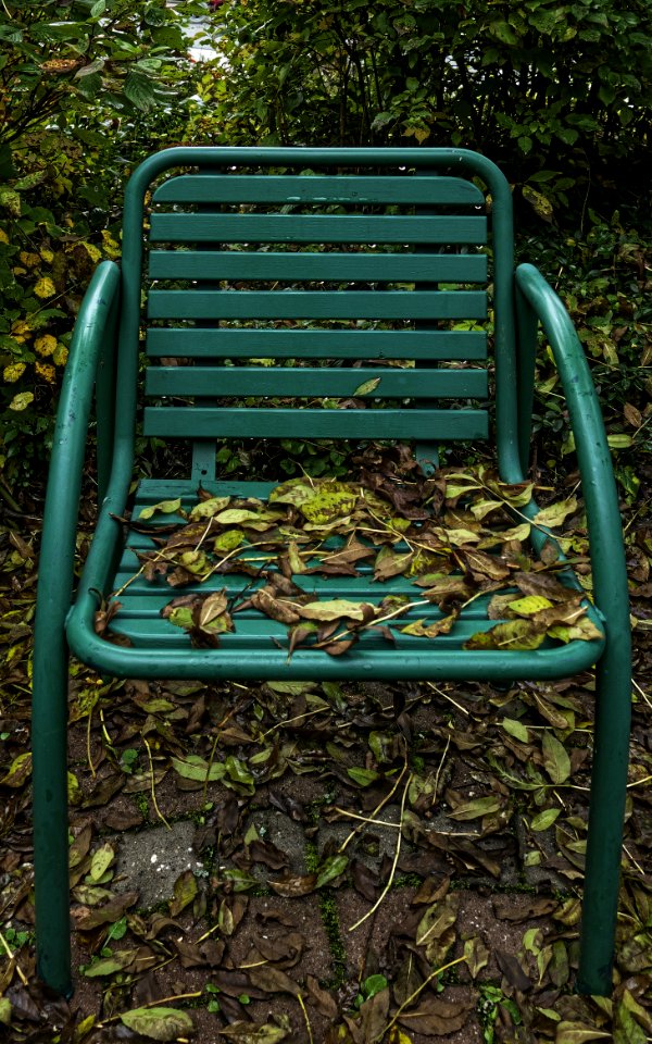 Green Furniture Chair Grass