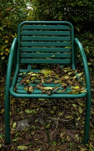 Green Furniture Chair Grass photo