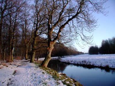 Winter Waterway Tree Snow photo